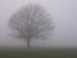 mist_tree